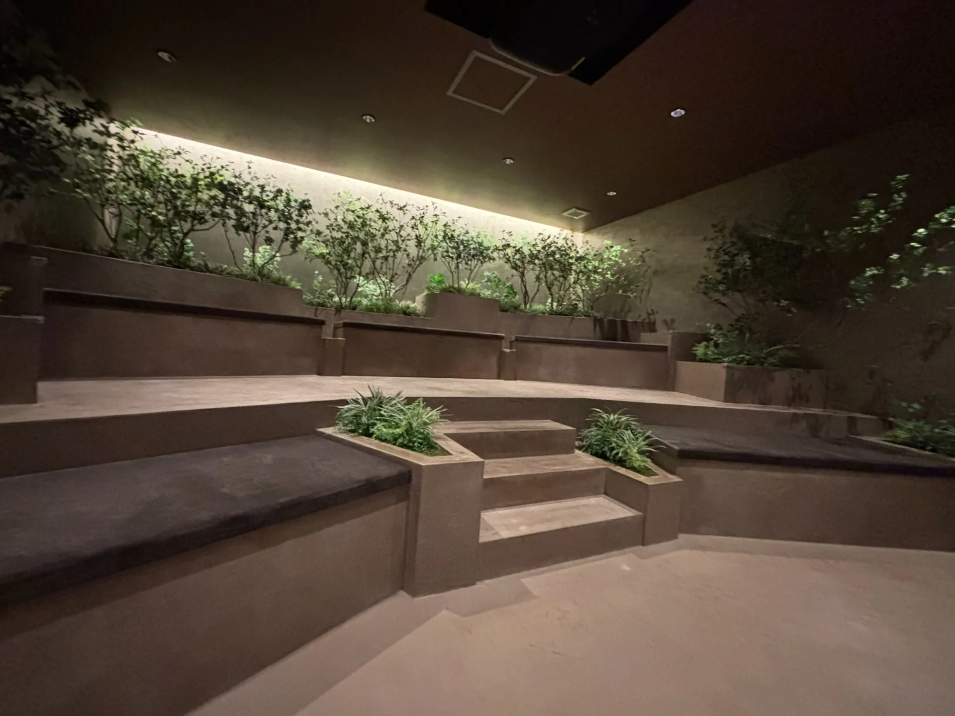 モールテックス